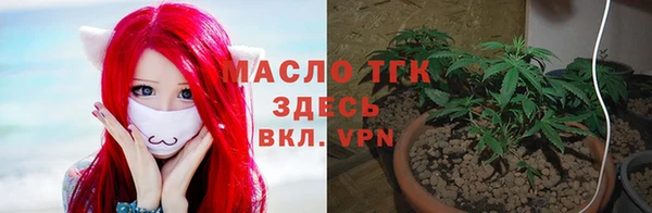 mdpv Елабуга