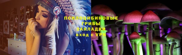 mdpv Елабуга
