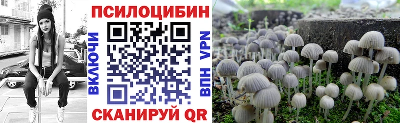 Галлюциногенные грибы ЛСД как найти закладки Плавск